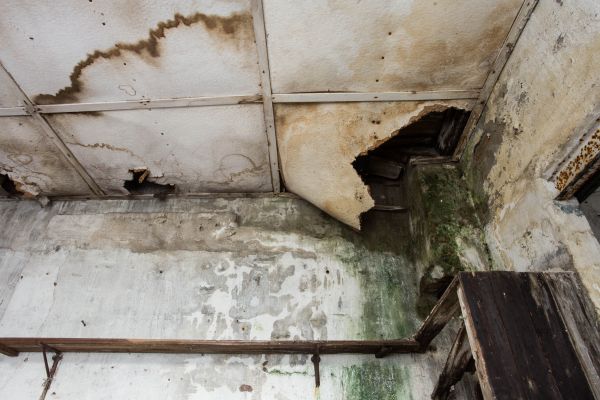 Cost of Water Damage Service in Wylie