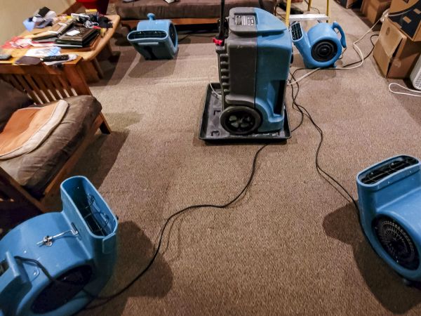 Cost of Flood Damage Recovery in Wylie