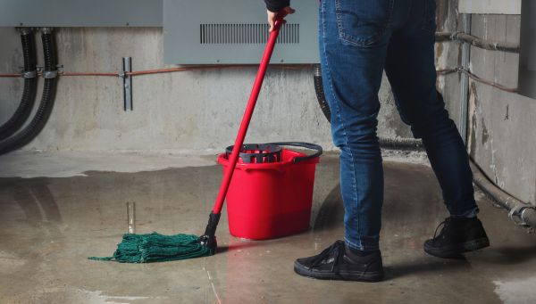 Cost of Flooded Basement Cleanup in Wylie
