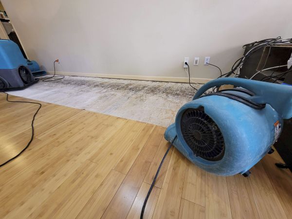 Cost of Water Damage Mitigation in Wylie