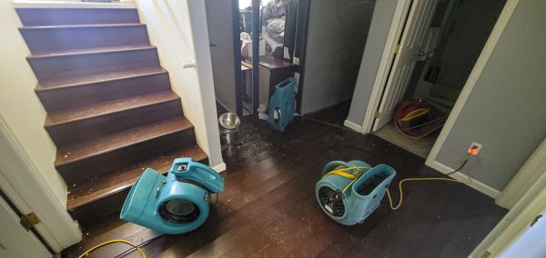 Cost of Water Damage Remediation in Wylie