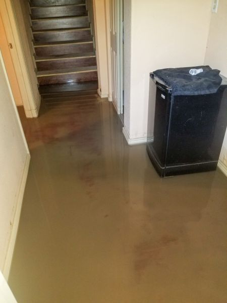 Cost of Emergency Water Removal in Wylie