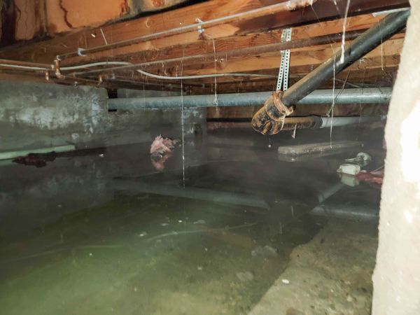 Cost of Crawl Space Drying in Wylie