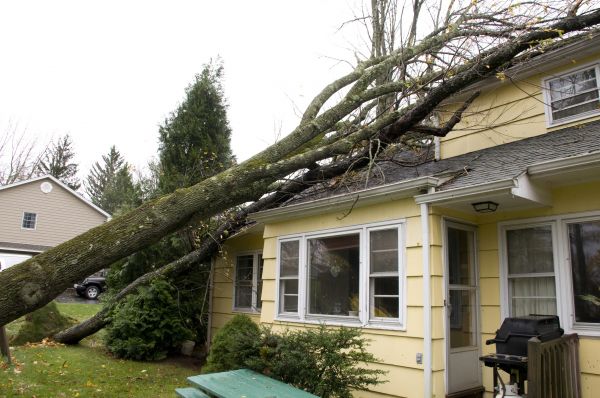Cost of Storm Damage Mitigation in Wylie