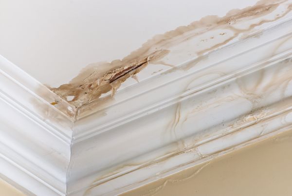 Cost of Water Damage Recovery in Wylie