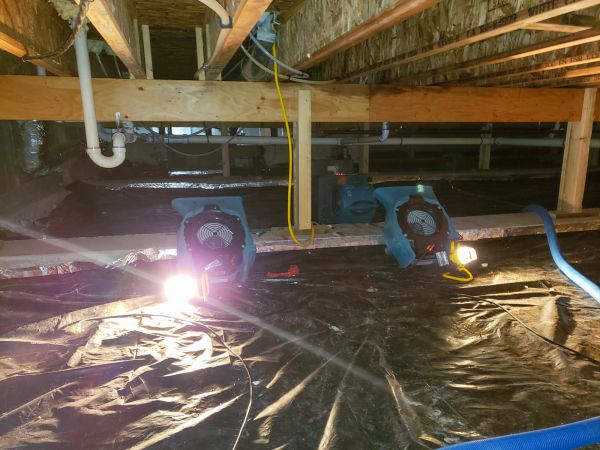 Cost of Crawlspace Water Removal in Wylie