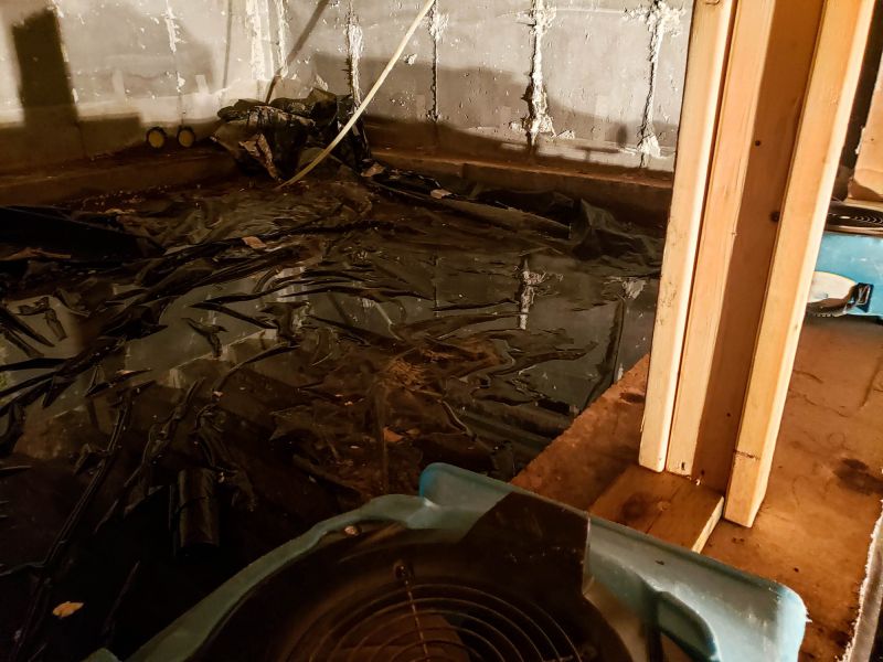 Crawlspace Water Cleanup detail